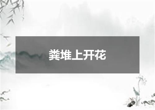 粪堆上开花
