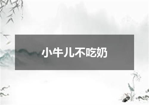 小牛儿不吃奶