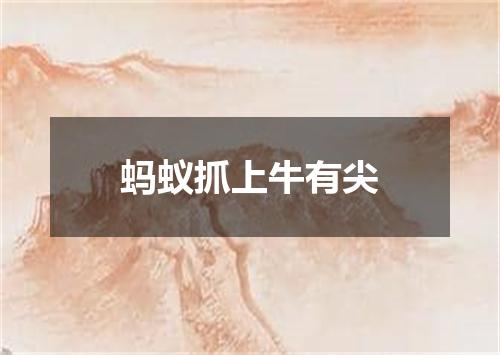 蚂蚁抓上牛有尖