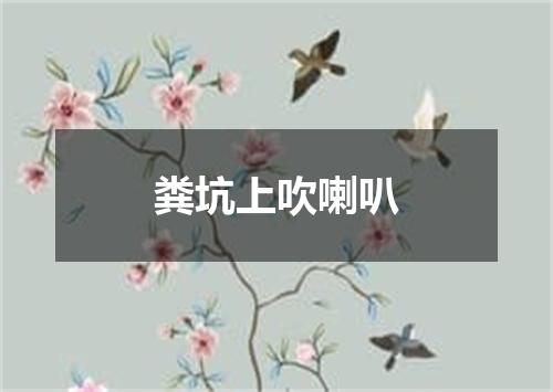 粪坑上吹喇叭