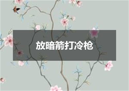 放暗箭打冷枪