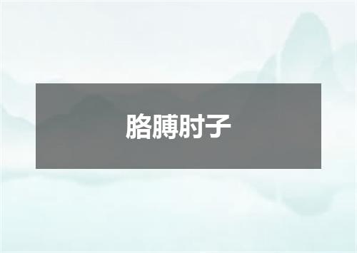 胳膊肘子