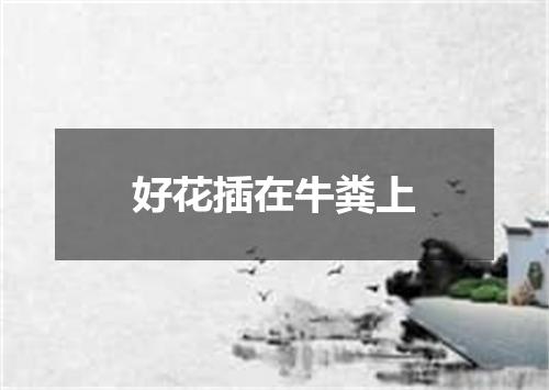 好花插在牛粪上