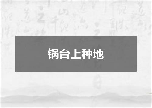 锅台上种地