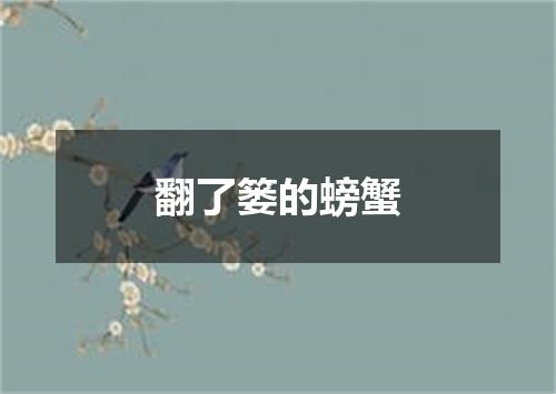 翻了篓的螃蟹