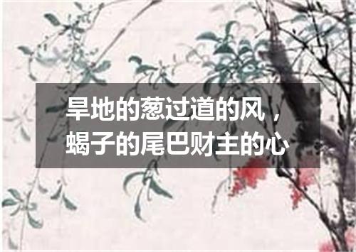 旱地的葱过道的风，蝎子的尾巴财主的心
