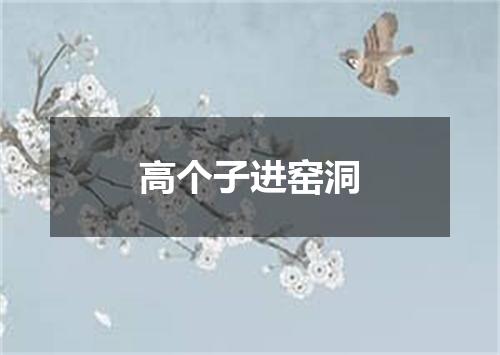 高个子进窑洞