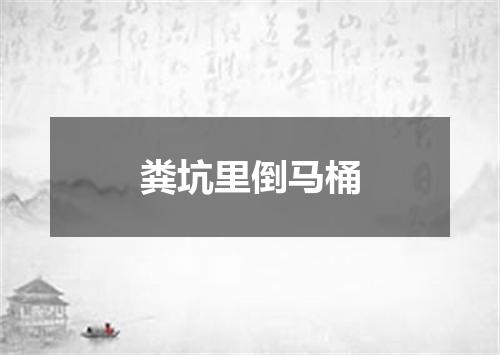 粪坑里倒马桶