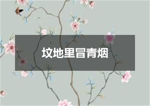 坟地里冒青烟