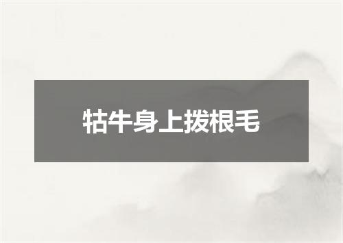 牯牛身上拨根毛