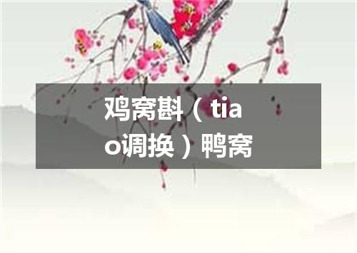 鸡窝斟（tiao调换）鸭窝