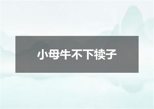 小母牛不下犊子