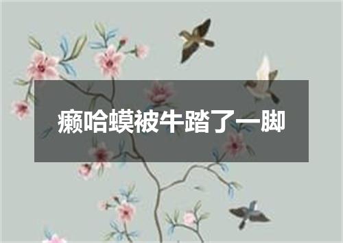 癞哈蟆被牛踏了一脚