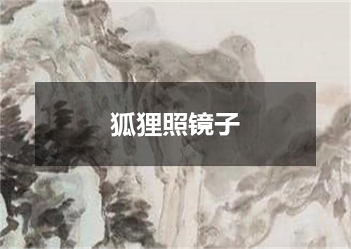 狐狸照镜子