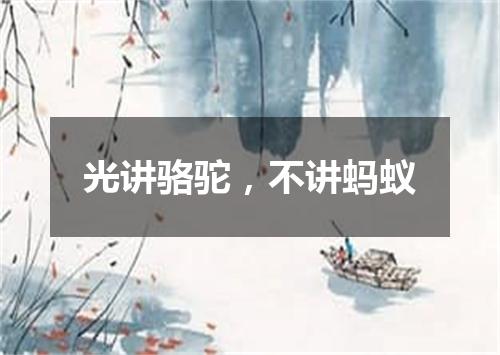 光讲骆驼，不讲蚂蚁