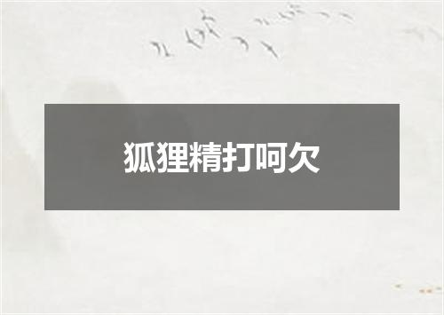 狐狸精打呵欠