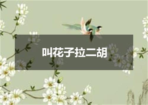 叫花子拉二胡