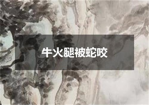 牛火腿被蛇咬