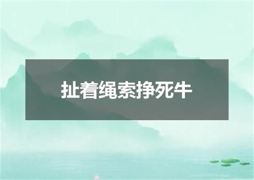 扯着绳索挣死牛