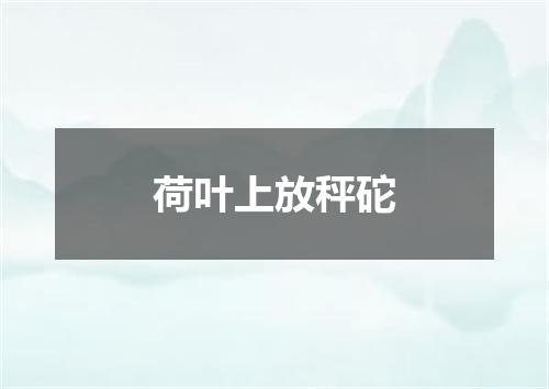 荷叶上放秤砣