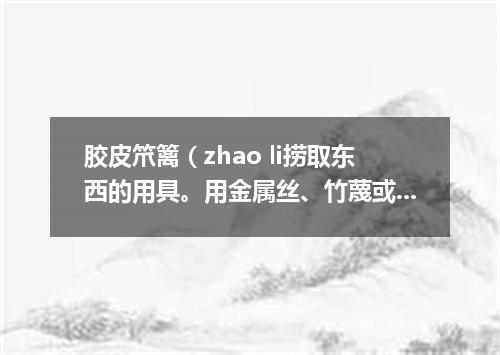 胶皮笊篱（zhao li捞取东西的用具。用金属丝、竹蔑或柳条等编成。有长柄）