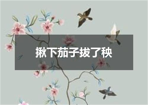 揪下茄子拔了秧