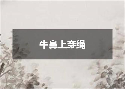 牛鼻上穿绳
