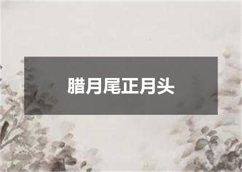 腊月尾正月头