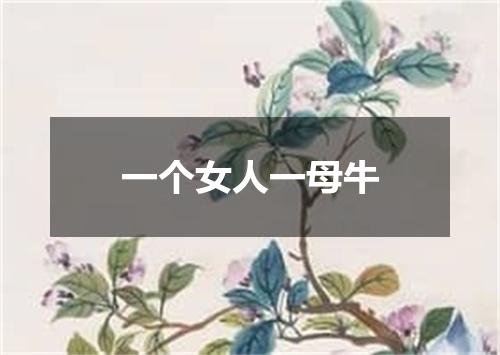 一个女人一母牛