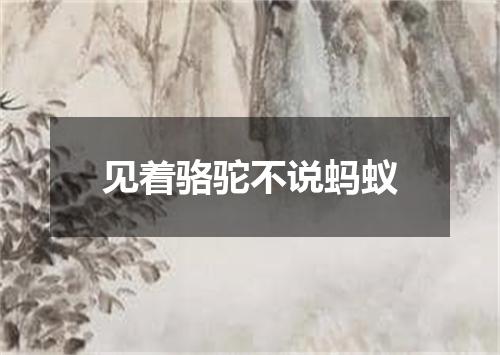 见着骆驼不说蚂蚁
