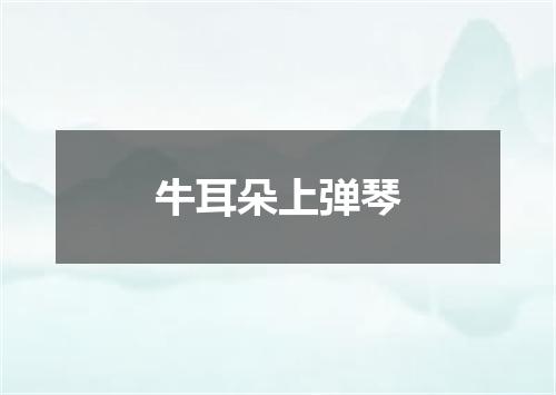 牛耳朵上弹琴