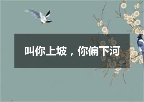 叫你上坡，你偏下河