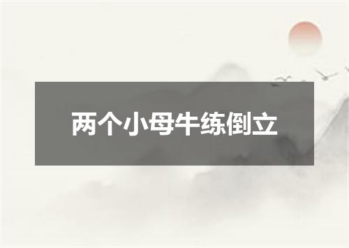 两个小母牛练倒立