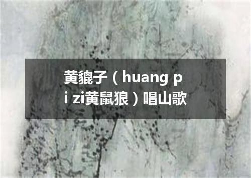黄貔子（huang pi zi黄鼠狼）唱山歌