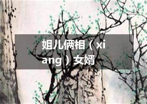 姐儿俩相（xiang）女婿