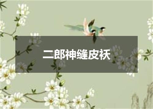 二郎神缝皮袄