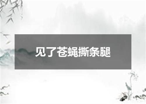 见了苍蝇撕条腿