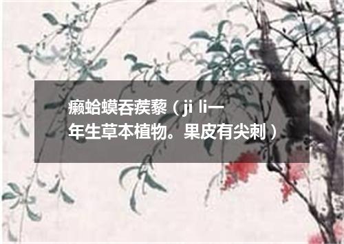 癞蛤蟆吞蒺藜（ji li一年生草本植物。果皮有尖刺）