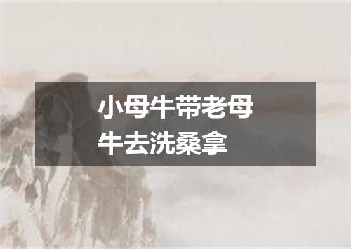 小母牛带老母牛去洗桑拿