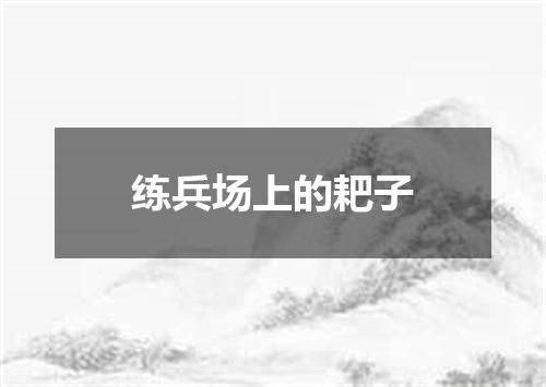 练兵场上的耙子