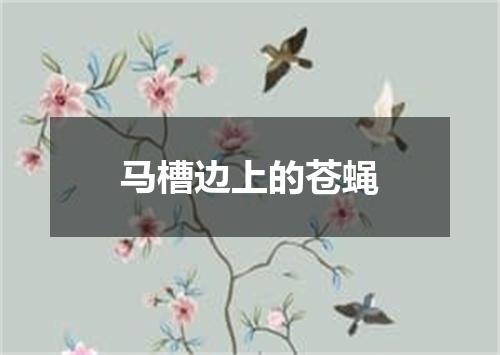马槽边上的苍蝇