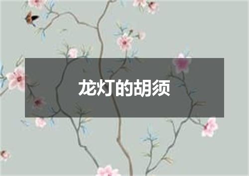 龙灯的胡须