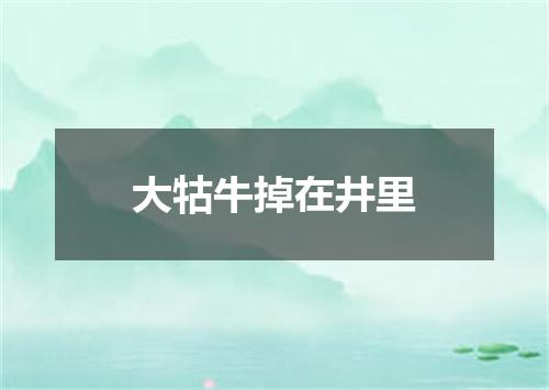 大牯牛掉在井里