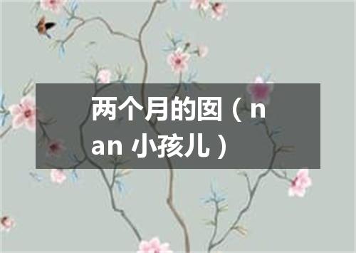 两个月的囡（nan 小孩儿）
