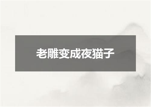 老雕变成夜猫子