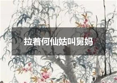 拉着何仙姑叫舅妈
