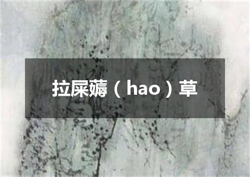 拉屎薅（hao）草