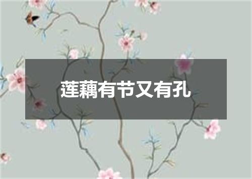 莲藕有节又有孔