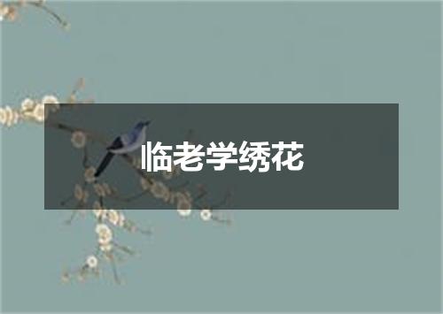 临老学绣花