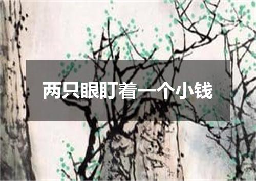 两只眼盯着一个小钱